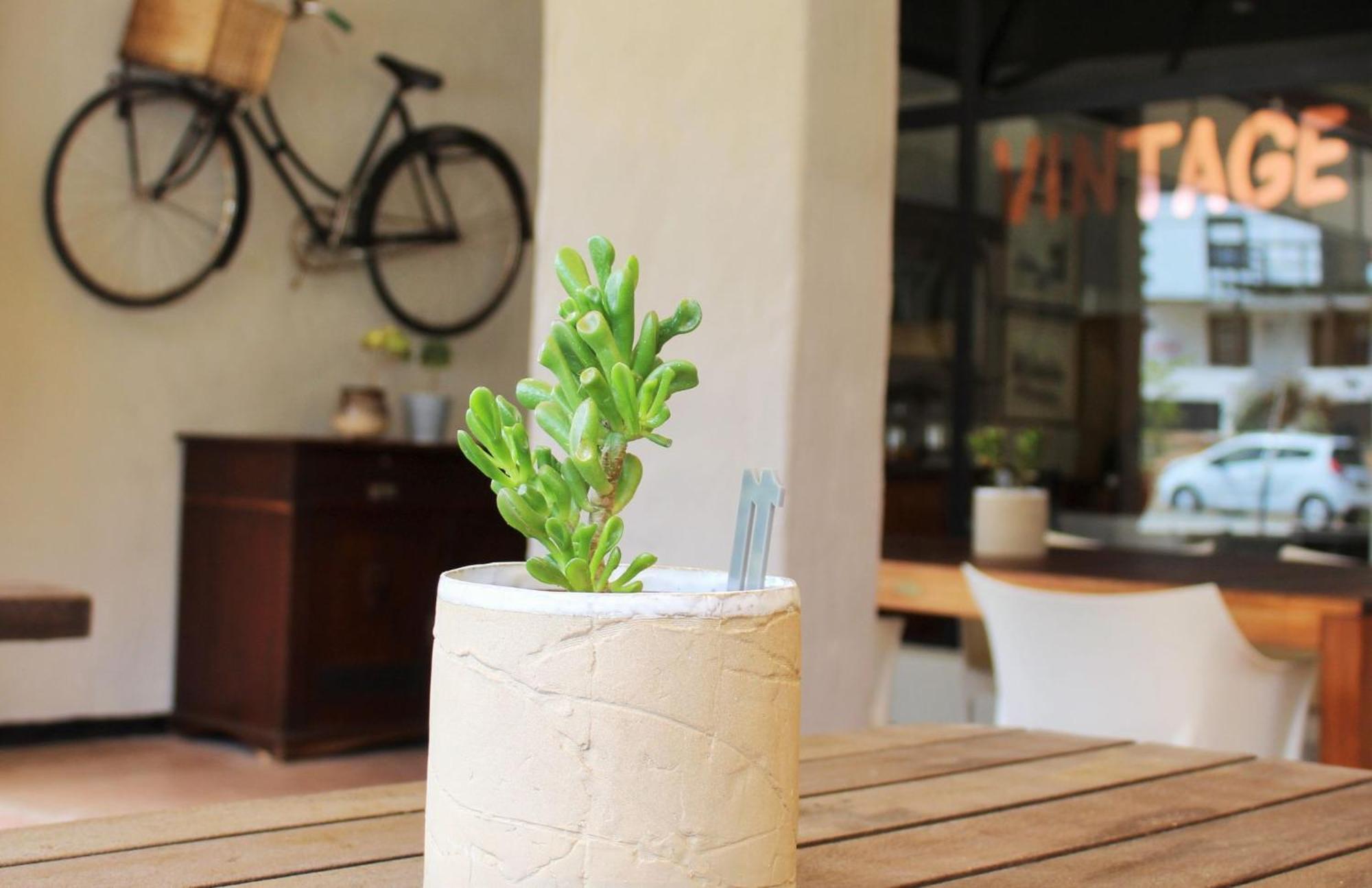 Barrydale Karoo - Boutique Hotel Exterior foto